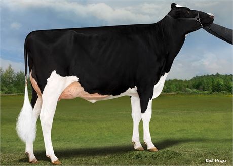 2 LAMBDA Embryos x Heart EX-90 (Homecoming x Caught Your Eye)