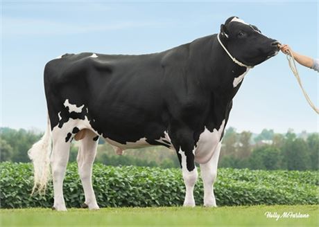 10 sexed Dropbox donated by Semex