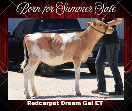 REDCARPET DREAM GAL-ET
