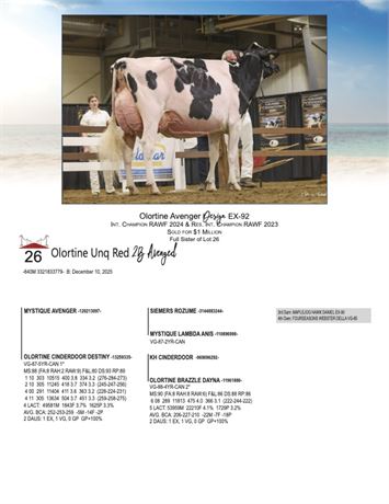 OLORTINE UNQ RED 2B AVENGED (MALE)