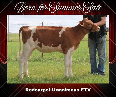 REDCARPET UNANIMOUS-ET