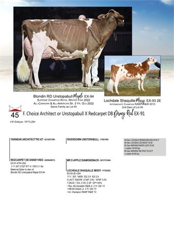 5 EMBRYOS - Disney X Architect*RC or Unstopabull-RED