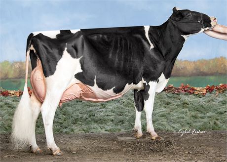 3 - #1 Sexed Delta Lambda Embryos x SMITH-HOLLOW STANLEYCUP LANIA EX-95