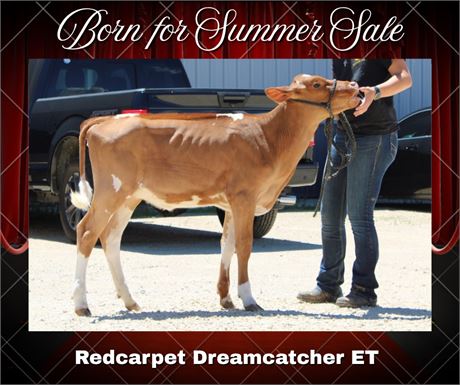 REDCARPET DREAM CATCHER-ET