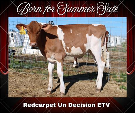 REDCARPET UN DECISION-ET