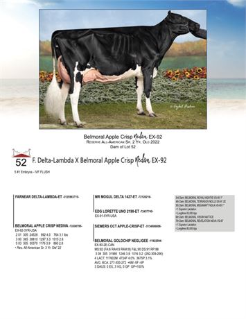 5 EMBRYOS - Nedova X Delta Lambda