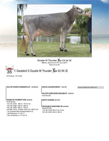 4 EMBRYOS - Thunder Than X Daredevil