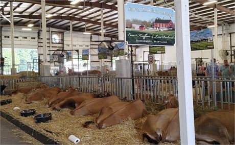 10 Units of South Mountain Bontino Krimson