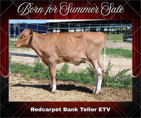 REDCARPET BANK TELLER-ET