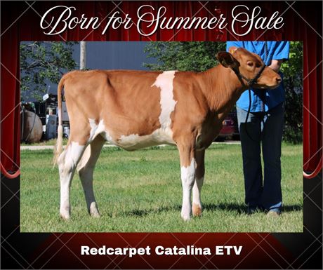 REDCARPET CATALINA-ET