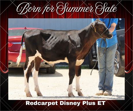 REDCARPET DISNEY PLUS-ET