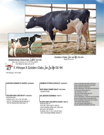 5 EMBRYOS - Line Them Up X Hihope