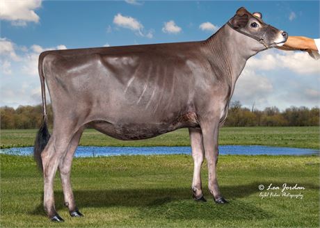 2 VIDEO Embryos x Vierra Kidrock Shotgun