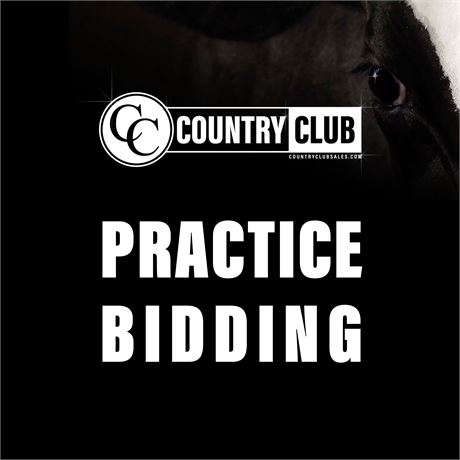 Practice Bidding