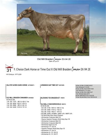 4 EMBRYOS - Cinnamon X Dark Horse or Time Out