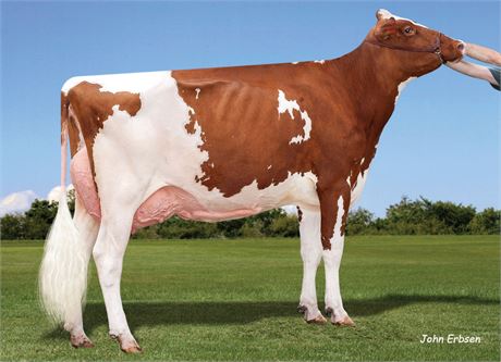 6 HANCOCK Embryos x APPLE-PTS ALAMEDA-RED