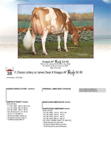 5 EMBRYOS - Thirsty X James Dean or Lottery