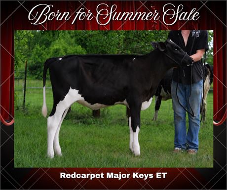 REDCARPET MAJOR KEYS-ET