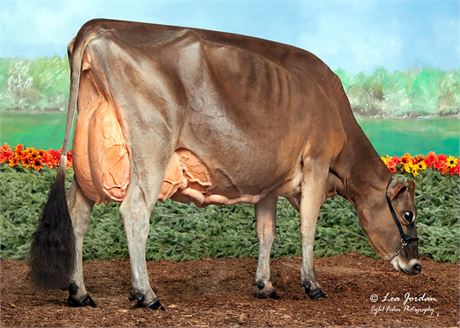 AHLEM MAUI BUTTONS 44738 EX-95