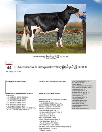 5 EMBRYOS - Barbara (5) X DETECTIVE or PALDWYN*RC