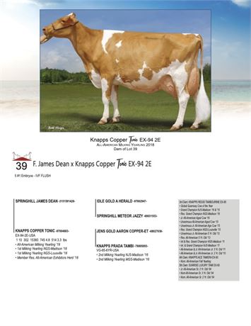 5 EMBRYOS - Tonic X James Dean