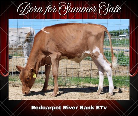 REDCARPET RIVER BANK-ET