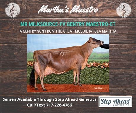10 straws of MR Milksource-FV Maestro