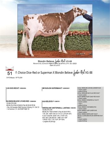 5 EMBRYOS - Lychee X Superman*RC or Dice-Red