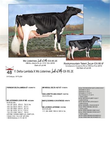 5 EMBRYOS - Look At Me X DELTA LAMBDA