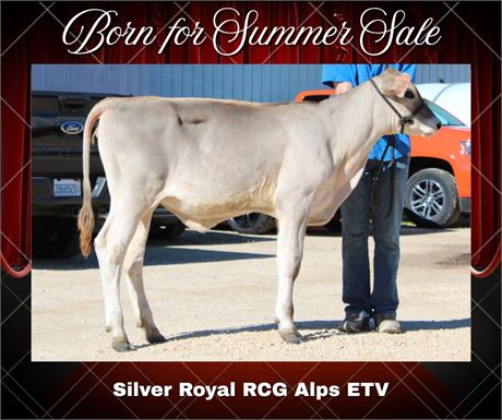 SILVER-ROYAL RCG ALPS-ET