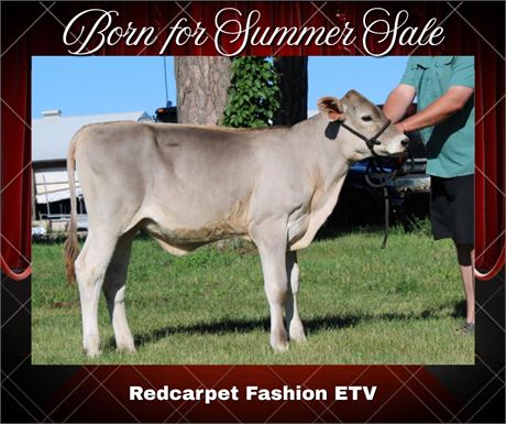 REDCARPET FASHION-ET