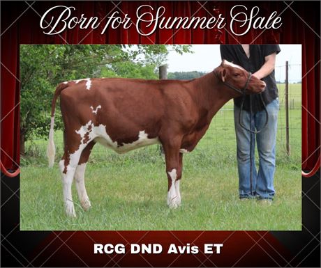 DND RCG AVIS-ET