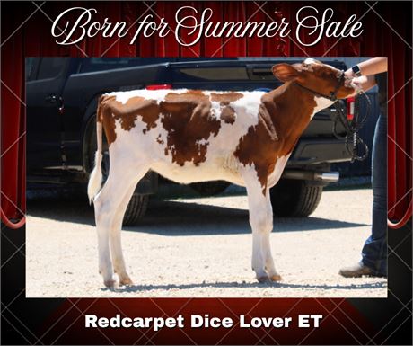 REDCARPET DICE LOVER-RED-ET