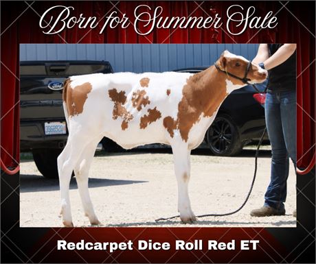 REDCARPET DICE ROLL-RED-ET
