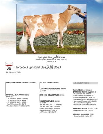 4 EMBRYOS - Judith X Torpedo