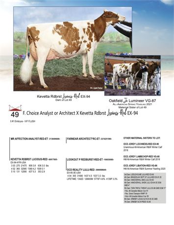 5 EMBRYOS - Lucious-red X Analyst-Red or Architect*RC