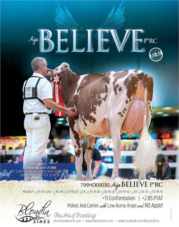 5 Units of Conventional BELIEVE-P*RC Semen