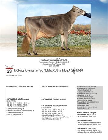 5 EMBRYOS - Ruby X Foremost or Top Notch