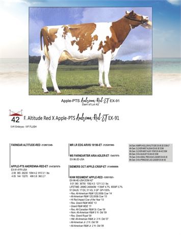 5 EMBRYOS - Andrenna X Altitude-red