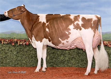 5 Hulu*RC Embryos x Milksource Tantrum-Red