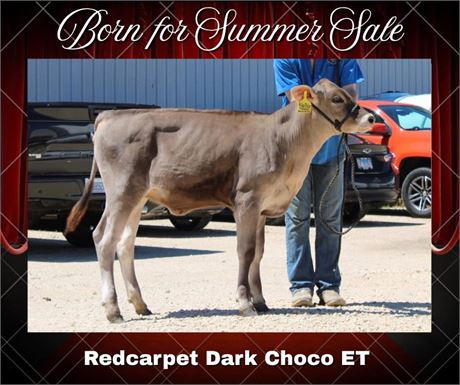 REDCARPET DARK CHOCO-ET