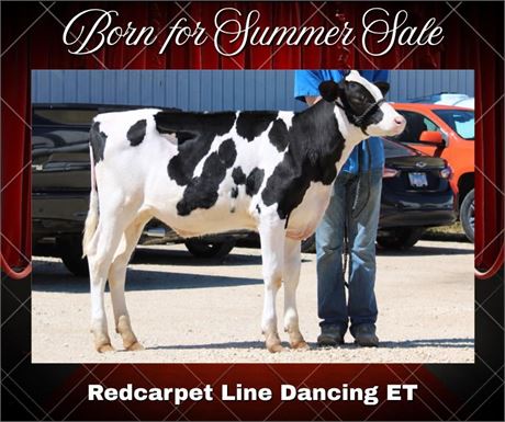 REDCARPET LINE DANCING