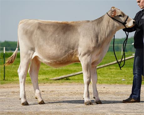 Country Club Sales Blessing Garbro C Pizza